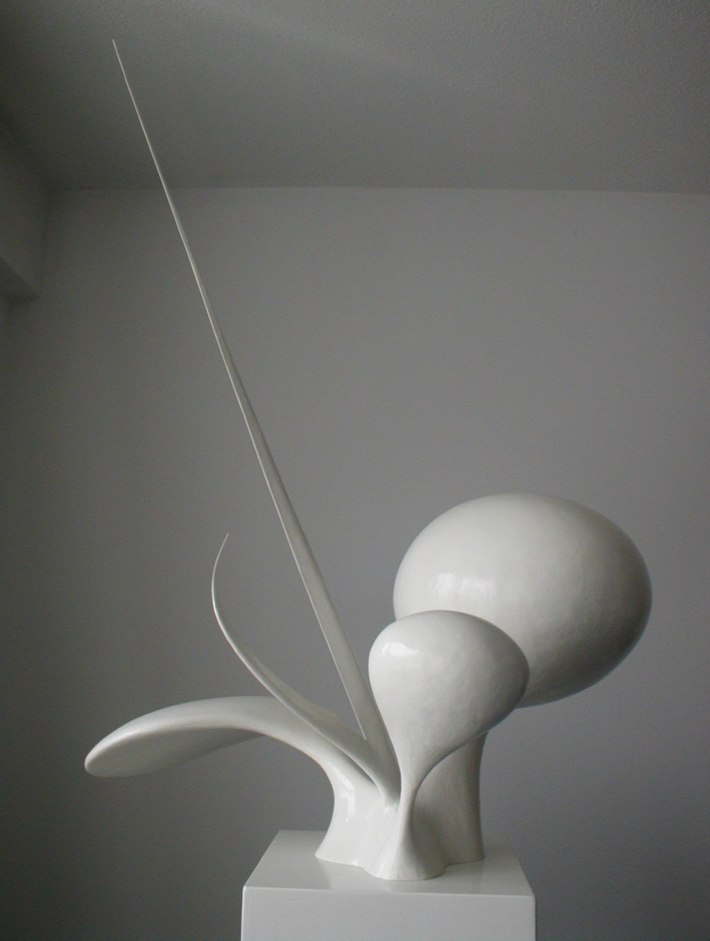 Torus